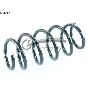 Osta Jousi (auton jousitus) CS Germany:llä 14.504.242 edullisesti hintaan 26,21 €