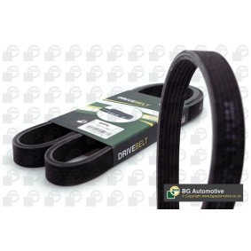 Keilrippenriemen 7PK1705