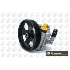 Acquista Pompa idraulica, sterzo da BGA PSP6702 a buon mercato per soli 118,65 €
