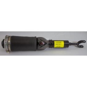 Luftfeder, Fahrwerk von Dunlop DAS10011