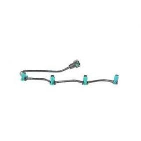 Achetez des Tuyau, carburant de fuite BSG BSG 30-725-098 à prix pour 39,56 €