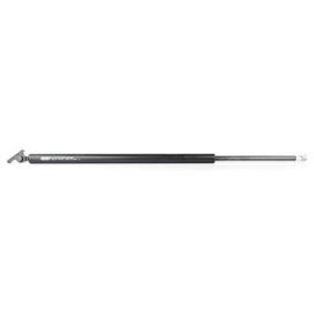 Köp Gasfjäder till baklucka av BSG BSG 40-980-004 till det låga priset 549,08 kr