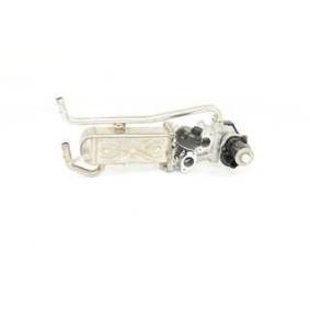Comprar Modulo EGR de BSG BSG 90-836-019 a bajo precio de 283,64 €