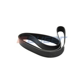 Achetez des Courroie Poly-V AUGER 79988 à prix pour 30,04 €