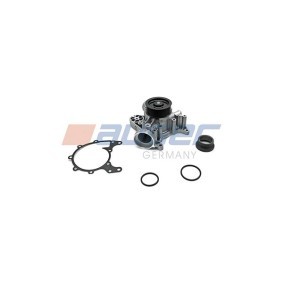Achetez des Pompe à eau AUGER 81366 à prix pour 165,95 €