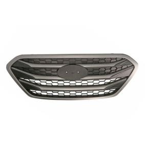 Kühlergrill 6502-07-3177990P