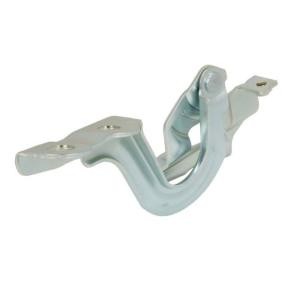 Scharnier, Motorhaube 6802-00-3266452P