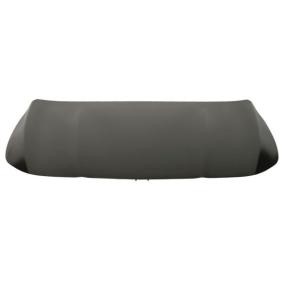 Motorhaube 6803-00-3535280P