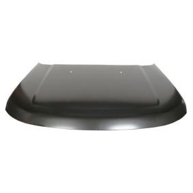 Motorhaube 6803-00-6490280P