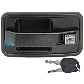 Compre Canhão de fechadura de ELECTRIC LIFE online para TALENTO Camião de plataforma/chassis (290) a preços moderados