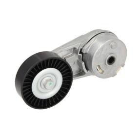 Compre Rolo tensor, correia trapezoidal estriada da BTA E3F0007BTA a um preço baixo por 75,60 €