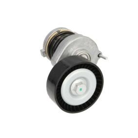 Compre Tensor da correia do alternador de BTA online para California T6 Minibus (SGC, SGG, SHC) a preços moderados