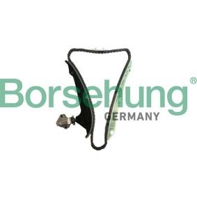 VOLKSWAGEN Steuerkettensatz von Borsehung