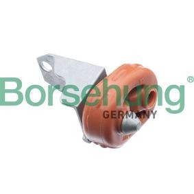 Halter, Abgasanlage von Borsehung