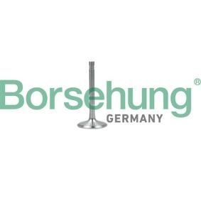 Comprar Válvula de escape de Borsehung B19001 a bajo precio de 11,75 €