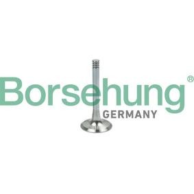Comprar Válvula de escape de Borsehung B19002 a bajo precio de 11,06 €