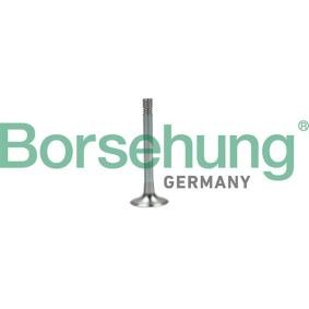 Comprar Válvula de escape de Borsehung B19003 a bajo precio de 12,06 €