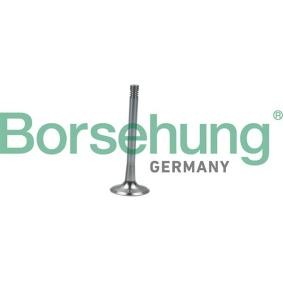 Comprar Válvula de escape de Borsehung B19008 a bajo precio de 16,31 €