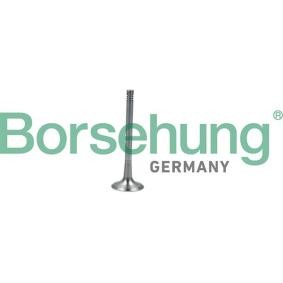 Comprar Válvula de escape de Borsehung B19011 a bajo precio de 20,28 €