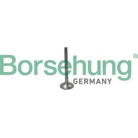 Comprar Válvula de escape de Borsehung B19012 a bajo precio de 22,37 €