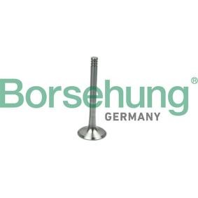 Acquista Valvola di scarico da Borsehung B19013 a buon mercato per soli 9,94 €