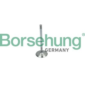 Einlassventil von Borsehung