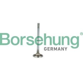 Comprar Válvula de admisión de Borsehung B19021 a bajo precio de 9,55 €