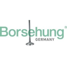 Einlassventil von Borsehung