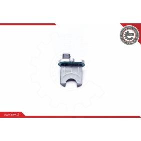 Lenkwinkelsensor 17SKV384