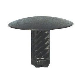 Clip, Zier- / Schutzleiste 10476 von RESTAGRAF günstig für 9,84 € online kaufen