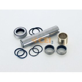 Acquista Kit riparazione, Perno fuso a snodo da CEI 230.086 a buon mercato per soli 74,16 €
