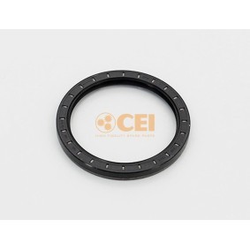 Acquista Paraolio, Cambio manuale da CEI 139.878 a buon mercato per soli 16,50 €