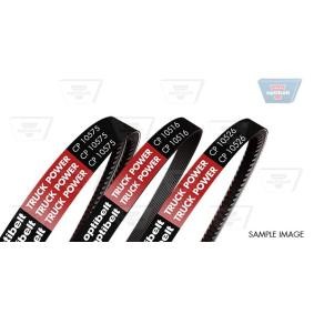 Acquista Cinghia trapezoidale da OPTIBELT CP10550 a buon mercato per soli 28,83 €