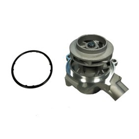 Achetez des Pompe à eau BUGIAD BSP25231 à prix pour 55,23 €