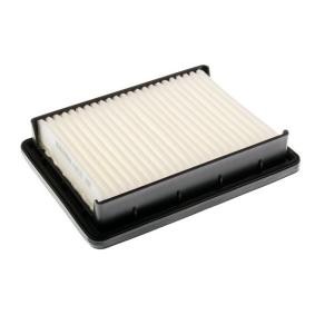 Luftfilter A142101