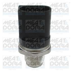 Kraftstoffdrucksensor 9870