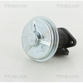 Comprar Válvula EGR de KAWE 8813 21002 a bajo precio de 155,56 €