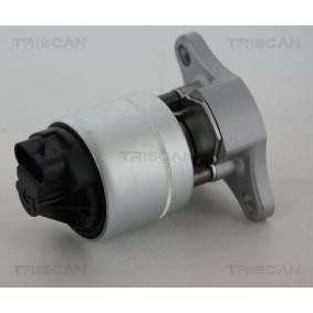 AGR-Ventil 8813 21006