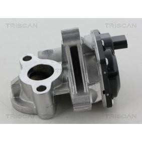 Comprar Válvula EGR de KAWE 8813 25041 a bajo precio de 474,56 €