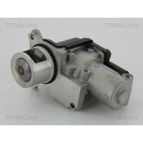 Comprar Válvula EGR de KAWE 8813 29002 a bajo precio de 248,20 €