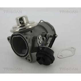 Comprar Válvula EGR de KAWE 8813 29040 a bajo precio de 147,45 €
