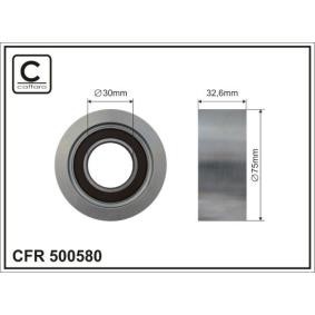Spannrolle, Keilrippenriemen 500580