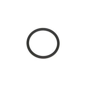 Dichtring 904.260