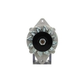 Lichtmaschine von BV PSH