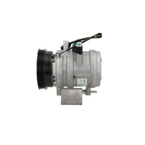 Lichtmaschine von BV PSH