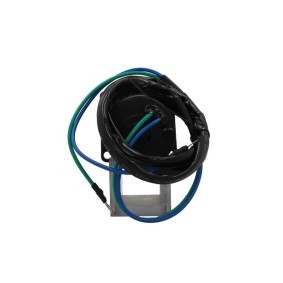 Lichtmaschine von BV PSH