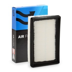 Luftfilter CAF101301P
