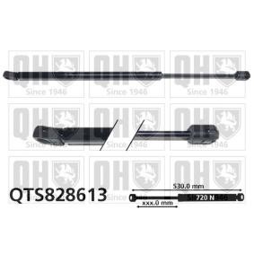 Achetez des Vérin de coffre QUINTON HAZELL QTS828613 à prix pour 40,47 €