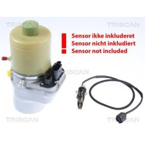 Servopumpe von TRISCAN