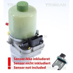 Servopumpe von TRISCAN
